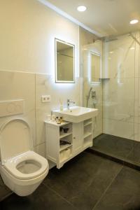 a bathroom with a toilet and a sink and a shower at M4 Apartment New in Freiburg im Breisgau