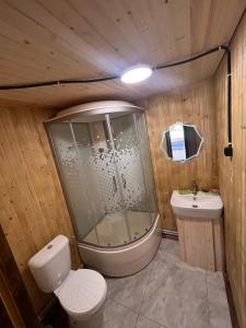 a bathroom with a shower and a toilet and a sink at Мисливський Дворик in Solochyn