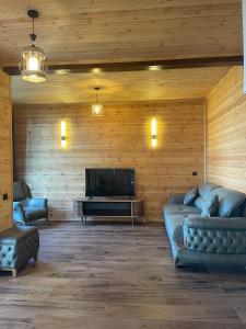 a living room with two couches and a television at GrapeHill Cottage in Achʼqva