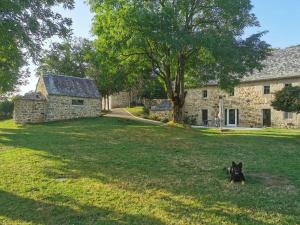 a black dog sitting in the grass in front of a stone house at La Borie de Peyrot in Huparlac