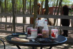 ein schwarzer Tisch mit Essen und Gewürzen darauf in der Unterkunft Alpacacamp in Helvécia