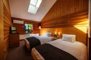 a hotel room with two beds and a television at Log Hotel The Maple Lodge in Iwamizawa