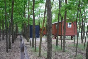 ein paar Häuser im Wald mit Bäumen in der Unterkunft Alpacacamp in Helvécia + 16 Fotos