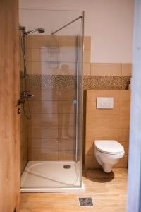 a bathroom with a shower and a toilet at Kentaur Guesthouse in Atea +5 photos