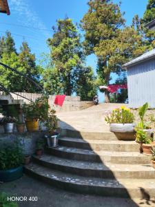 a set of stairs with potted plants on them at Beqa Hous in Ts'ikhisdziri