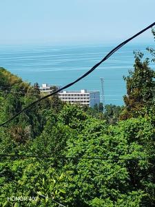 a view of a building on a hill with trees at Beqa Hous in Ts'ikhisdziri +12 photos