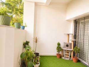 a patio with green grass and potted plants at Kesarionstay in Indore
