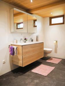 a bathroom with a sink and a toilet at Haus Kanisfluh in Au im Bregenzerwald