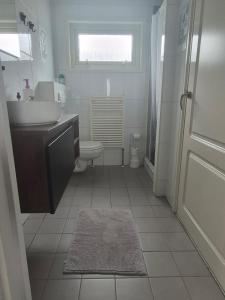 a bathroom with a sink and a toilet and a window at Het ooievaarsnest in Warmond
