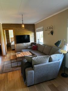 a living room with a couch and a table at Skoogs Logi Lägenheter in Funäsdalen