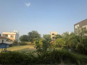 a view of a park with trees and buildings at Kesarionstay in Indore