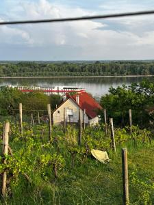 a house with a red roof next to a lake at Danube House in Mohács