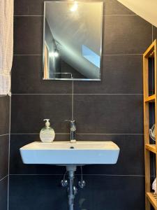 a bathroom with a white sink and a mirror at Danube House in Mohács