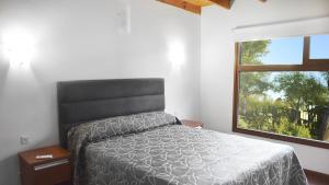 a bedroom with a bed and a window at Cabañas Boutique Pipi Cucu in Colón +31 photos