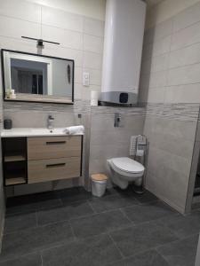 a bathroom with a toilet and a sink and a mirror at Chambre Premium "Plume"- SDB privée & coin repas in Sainte-Geneviève-des-Bois
