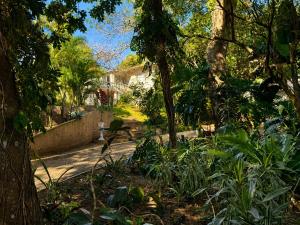 a garden with trees and plants in front of a house at 16 st Johns - Studio 2 in Port Shepstone