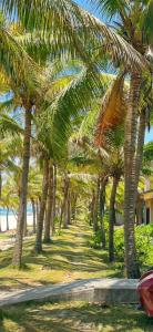 a row of palm trees next to a road at Lấp Ló Home in Danang
