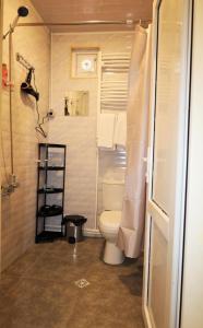 a small bathroom with a toilet and a shower at MAKO in Racha in Ambrolauri +35 photos
