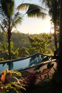 a view of a resort with palm trees and a swimming pool at Saridevi Ecolodge in Jatiluwih