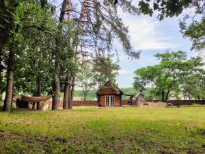 a small cabin in the middle of a field with trees at Хатуля in Oleshnya