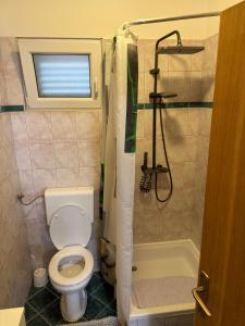a small bathroom with a toilet and a shower at Apartman J&B in Vir