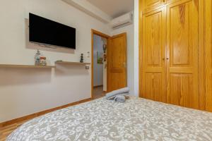a bedroom with a bed and a flat screen tv at Las Sirenas 2 in Las Palmas de Gran Canaria
