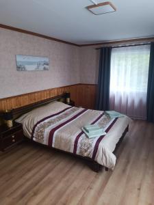 a bedroom with a bed with a wooden floor and a window at Senja Aurora in Senja