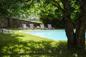 a swimming pool with lounge chairs and a tree at Feel Discovery Casa de Vilarinho de São Romão in Sabrosa