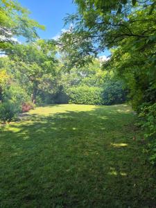 a large yard with trees and green grass at Avalon Mali Stapar in Mali Stapar
