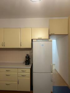 a kitchen with white cabinets and a white refrigerator at Your home 29 with parking in KoÅ¡ickÃ© KÃºpele +6 photos