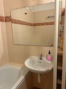 a bathroom with a sink and a mirror and a tub at Your home 29 with parking in KoÅ¡ickÃ© KÃºpele
