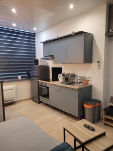 a kitchen with stainless steel appliances in a room at Betting 2 in Merlebach