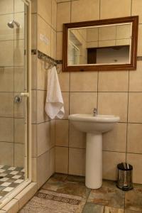 a bathroom with a sink and a mirror and a shower at Blessings Guesthouse in Newcastle +49 photos
