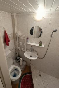 a small bathroom with a toilet and a sink at B59 guesthouse in Budakalász +14 photos