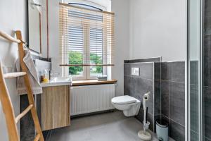 a bathroom with a toilet and a sink and a window at Ferienwohnung auf Dreiseithof in Twedt