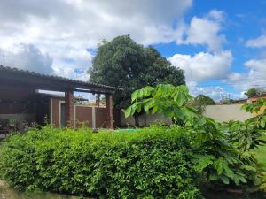 a house with a hedge in front of a building at Flat Alto Padrão in Gravatá