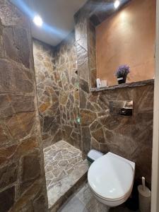 a bathroom with a toilet and a stone wall at Apartman Trg in Šabac +4 photos