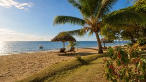a beach with chairs and palm trees and the ocean at Manga Soa Lodge in Fascène - Befefika +29 photos