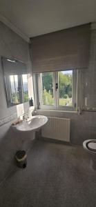a bathroom with a sink and a mirror and a toilet at A Casa Das Chocas in San Román
