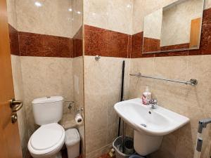 a bathroom with a toilet and a sink at Two-bedroom apartment with garden view in Sunny Beach +10 photos