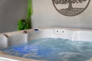 a bath tub filled with water next to a mirror at Grange des 2 Cols - Jacuzzi - Jardin in Campan +37 photos