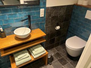 a bathroom with a sink and a toilet at Gastenverblijf Boven De S l a g e r i j in Schijndel +29 photos