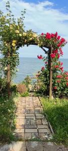 an arch with roses on a stone path near the ocean at AndyRa in Agigea