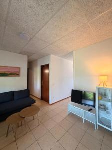a living room with a couch and a tv at La Sabonnera in Sant Llorenç de la Muga