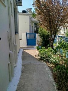 a sidewalk next to a building with a tree at Δωμάτια Σοφία in Agios Kirykos +5 photos