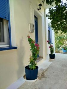 two potted plants sitting on the side of a building at Δωμάτια Σοφία in Agios Kirykos