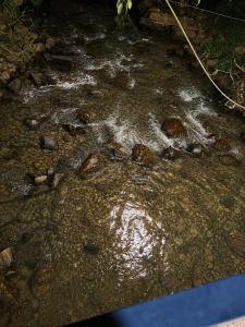 a stream of water with rocks on the ground at Miracle holiday homestay in Demodera