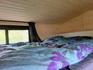 a bed in a room with a window at Accommodatie Spiegelwaal Nijmegen Lent in Nijmegen
