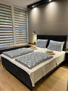 a bedroom with a large bed with two pillows at Ema, Asja, Eda Apartments in Zenica