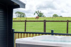 a horse in a field behind a fence with a bath tub at The Paddock Lodge in Withcote